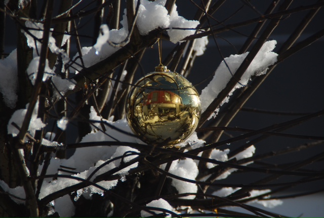 Der Weihnachtsbaum Vor Der T re Klockerei Blog